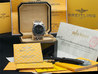 Breitling Chronomat Evolution A13356 PAN Frecce Tricolori Edizione Limitata