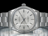 Rolex Oyster Perpetual 34 Silver Dial 1003